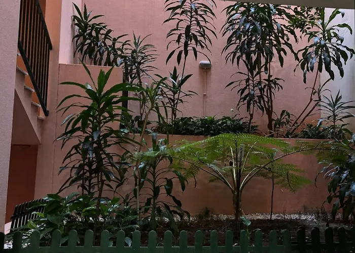 アパート Vista フンシャル